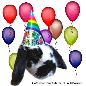 ../Images/birthday bunny.jpg